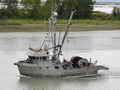 Shore Seiner thumbnail image 0