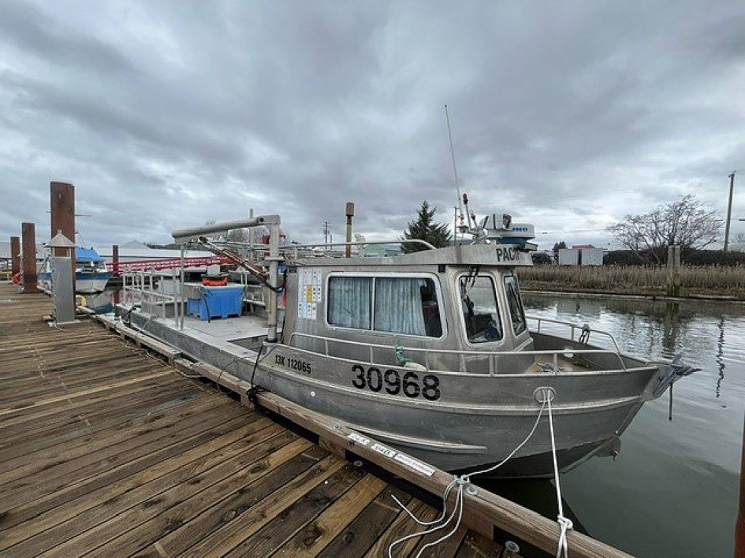 Aluminum Queensboro Marine image 2