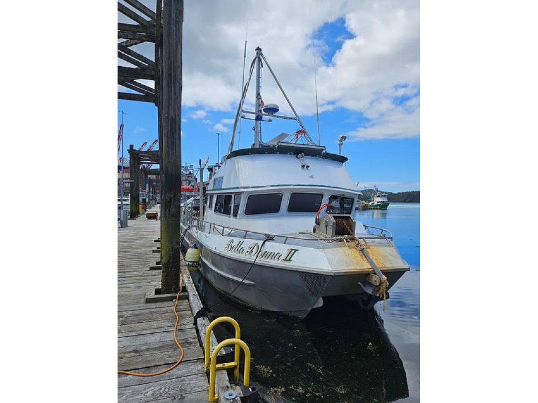 Aluminum Catamaran Fishing Boat image 1