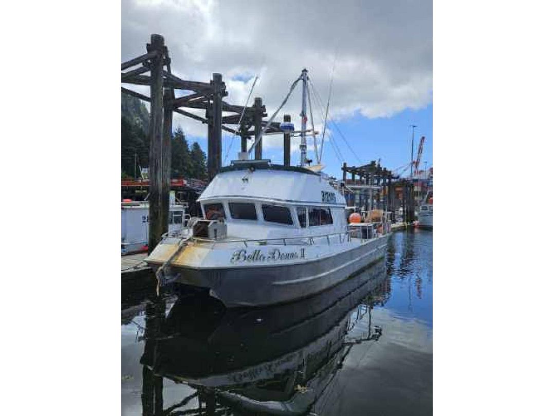 Aluminum Catamaran Fishing Boat image 2