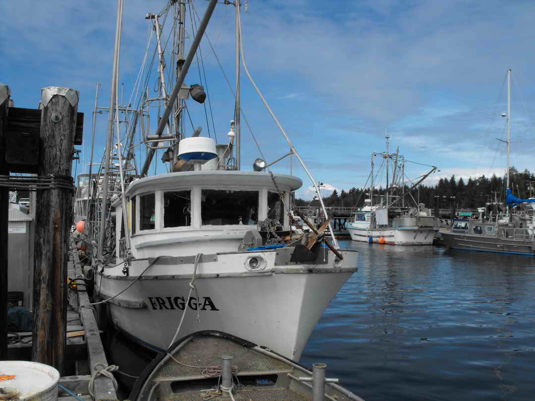Fiberglass Pelagic Shrimp Troller Gillnetter