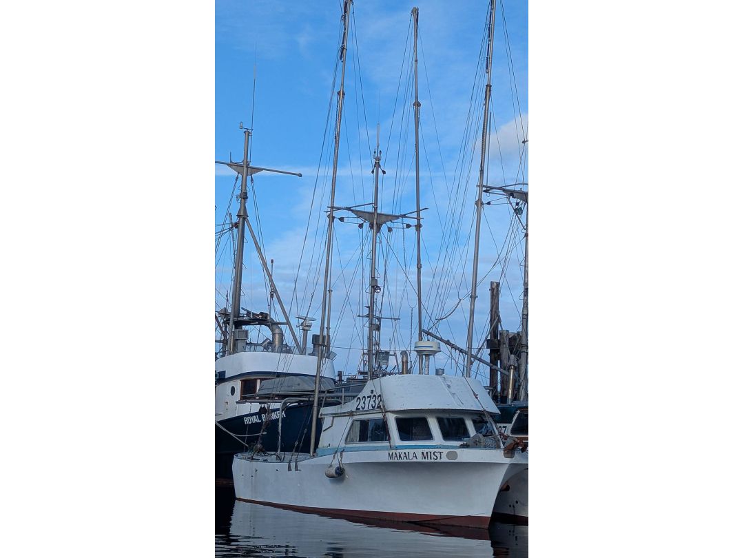 Fiberglass Farrell Troller image 1