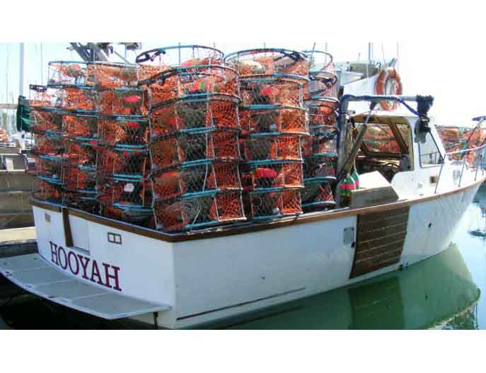 Crab Boat