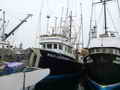 Gooldrup Offshore Tuna Vessel thumbnail image 2
