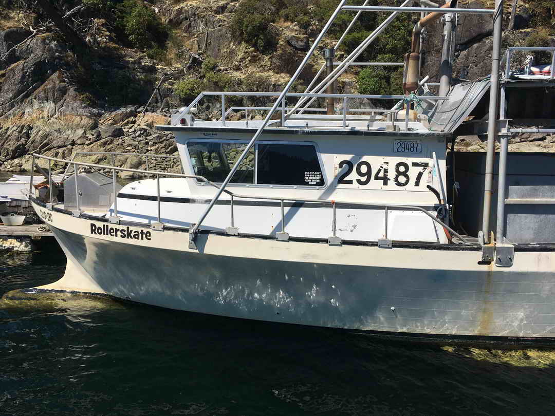 Gulf Commander Prawn Crab Boat image 1
