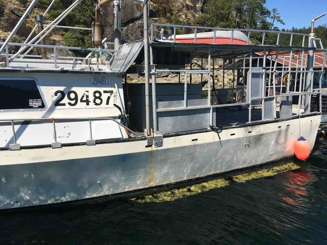 Gulf Commander Prawn Crab Boat image 3