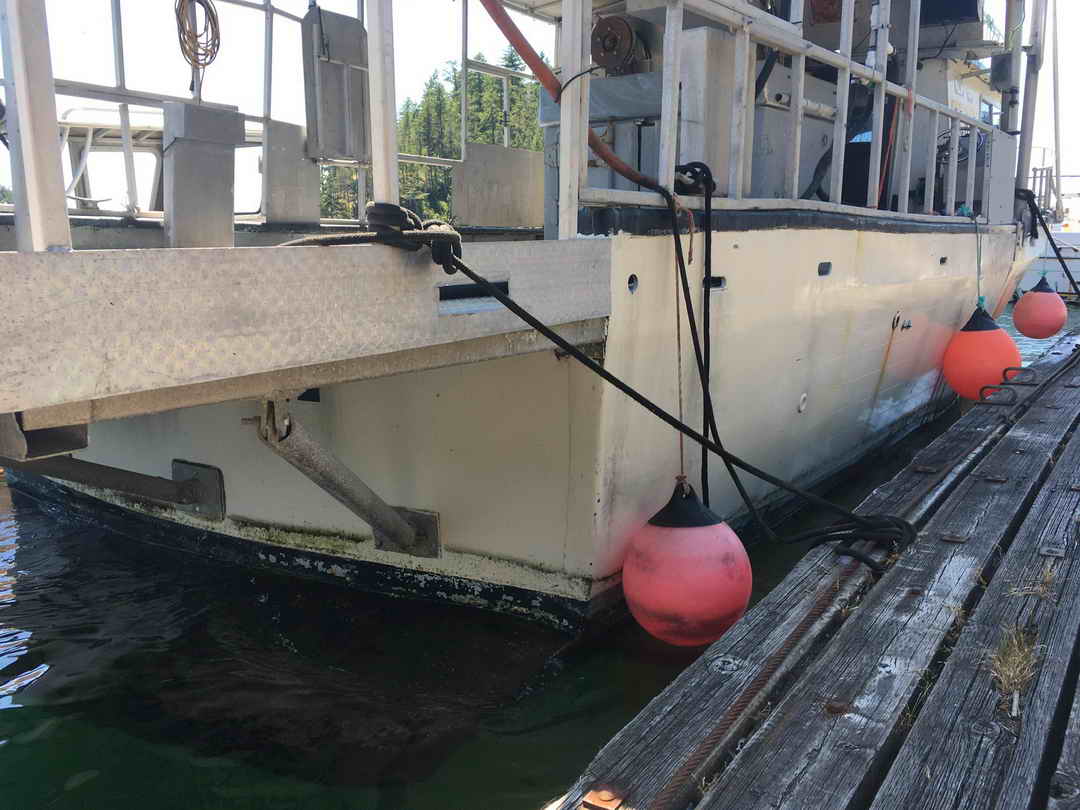 Gulf Commander Prawn Crab Boat image 8