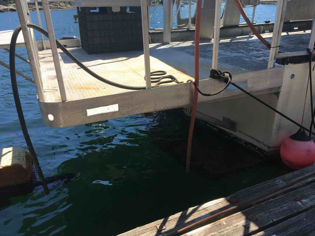 Gulf Commander Prawn Crab Boat image 9