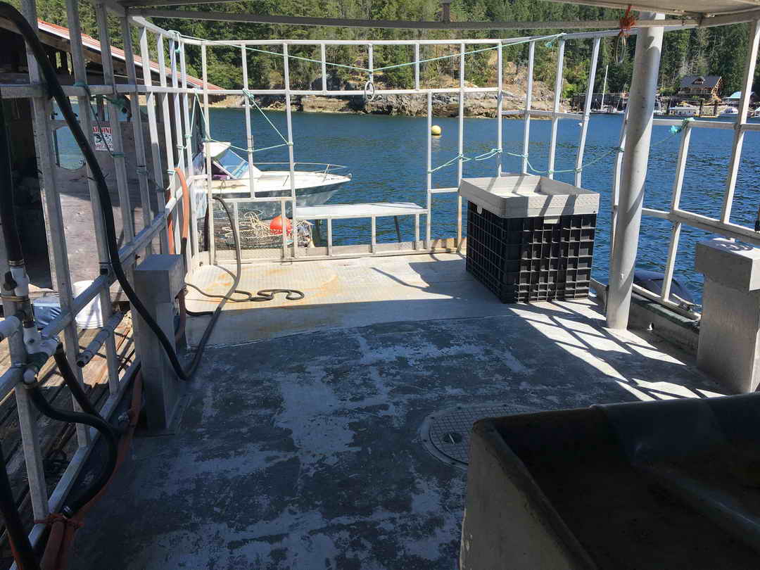 Gulf Commander Prawn Crab Boat image 13