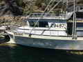 Gulf Commander Prawn Crab Boat thumbnail image 1
