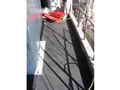Pelagic Prawn Boat thumbnail image 11