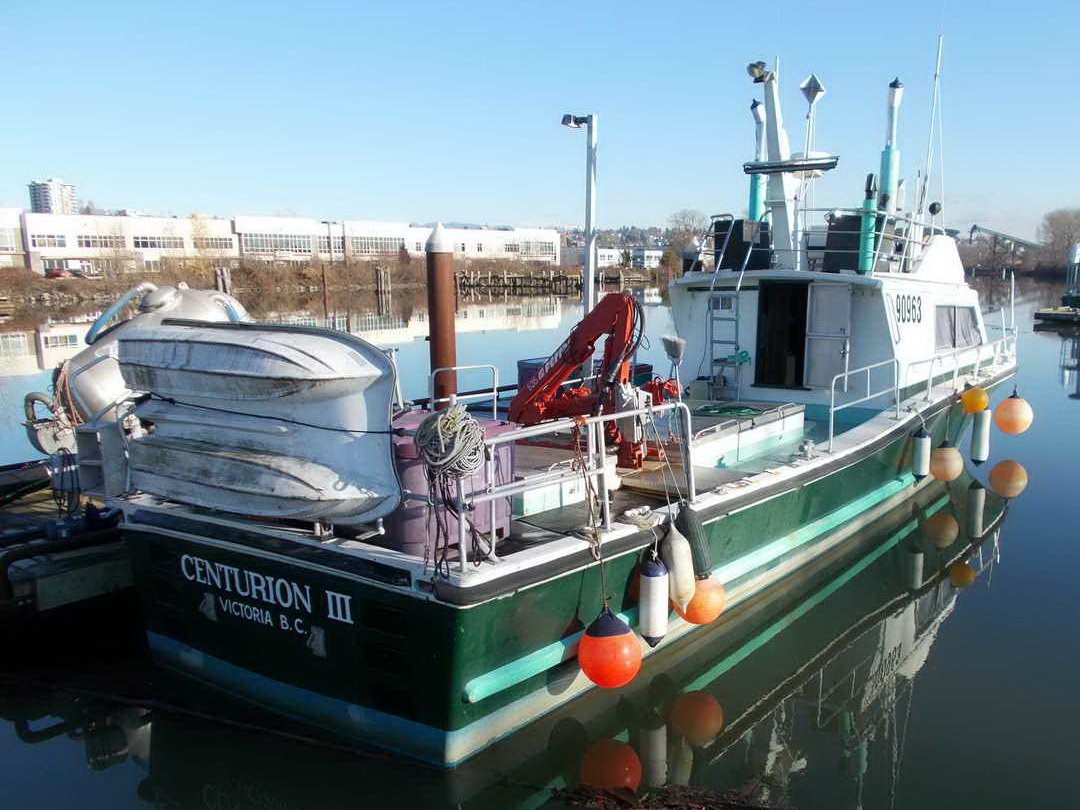 Canoe Cove Packer Tender Work Boat image 4