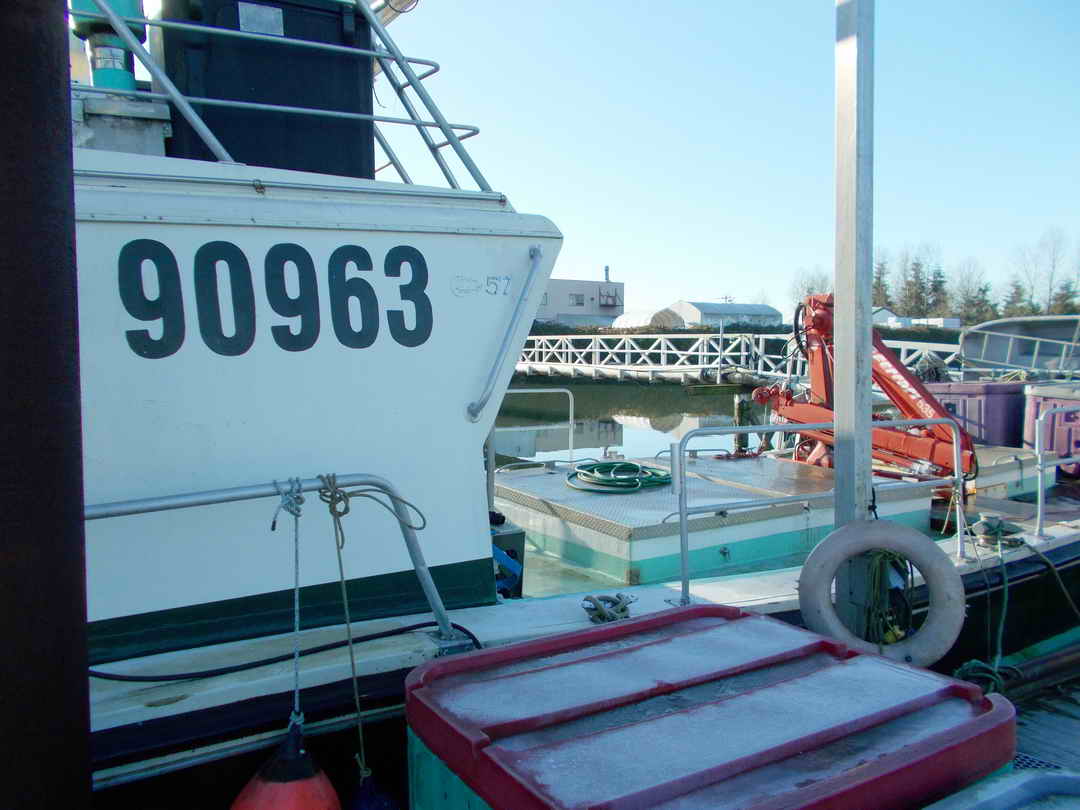 Canoe Cove Packer Tender Work Boat image 8