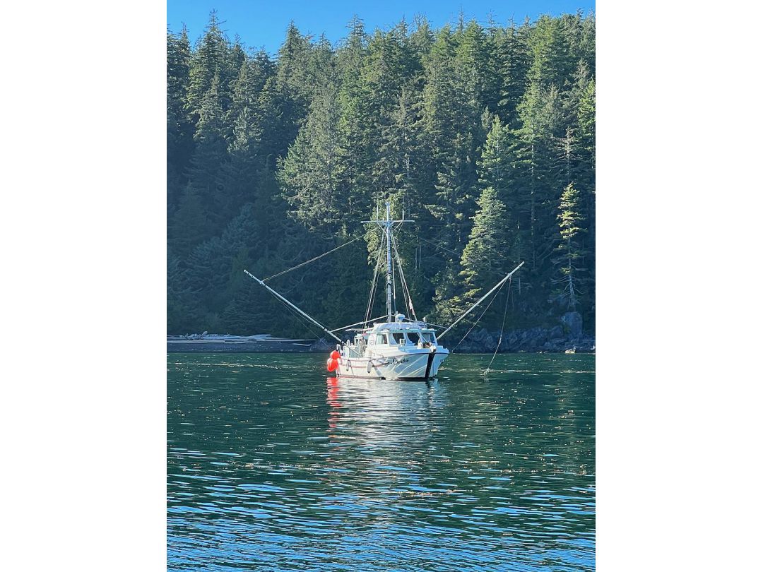 Fiberglass Gillnetter Halibut Harvester image 1