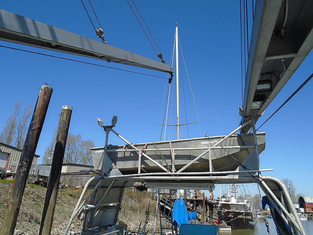 Pelagic Packer Tender Longliner image 9