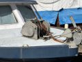 Fiberglass Gillnetter thumbnail image 2