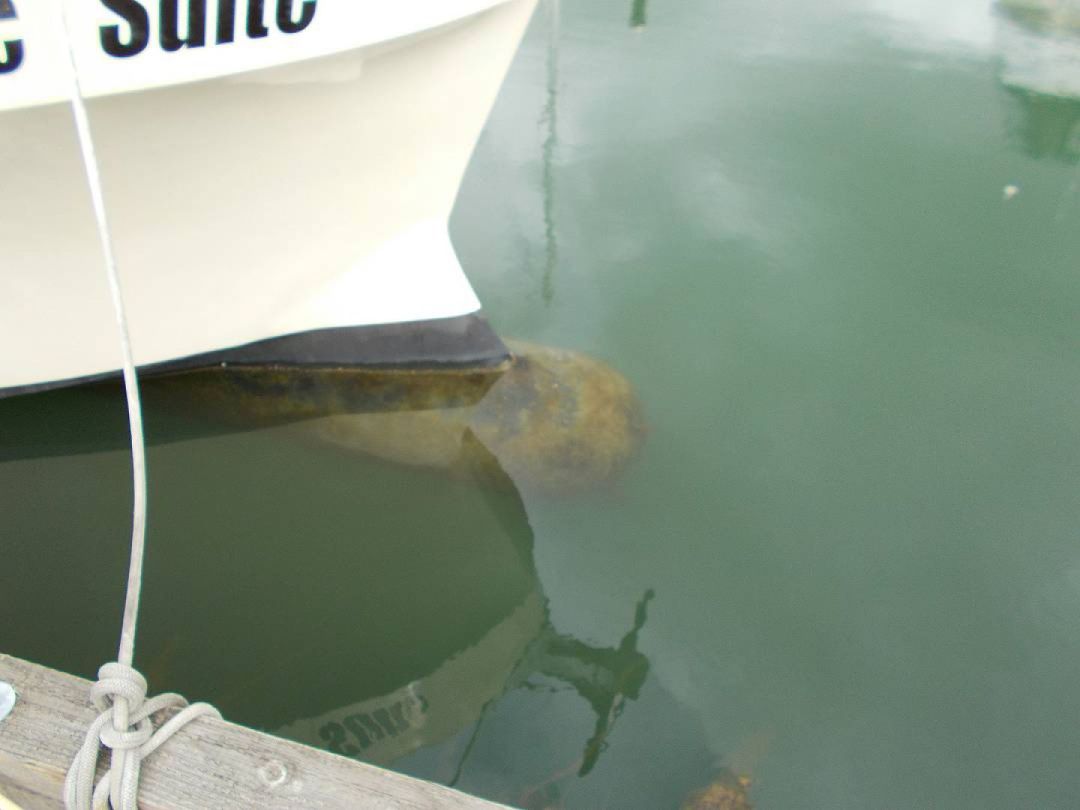 Fiberglass Gillneter image 8