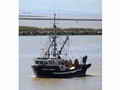 Dragger Longliner Seiner thumbnail image 0
