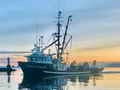 Dragger Longliner Seiner thumbnail image 1