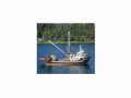 Dragger Longliner Seiner thumbnail image 2