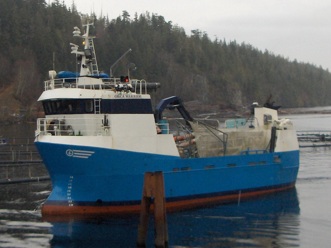Packer Tender Research Work Boat image 1