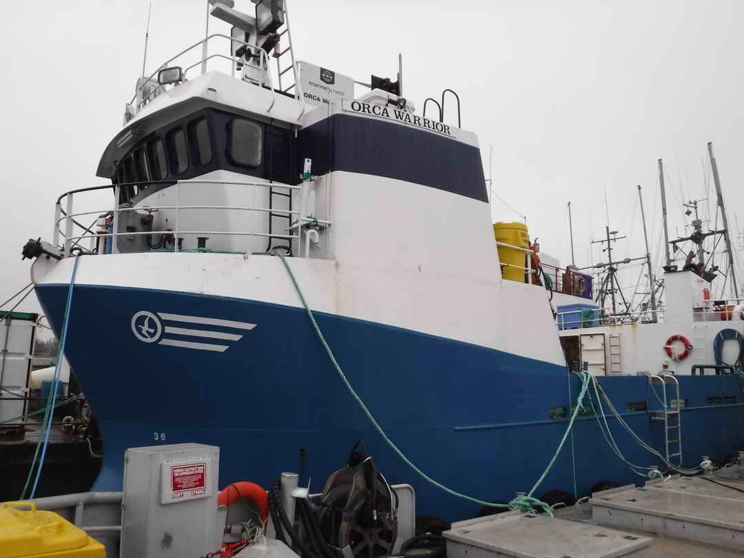 Packer Tender Research Work Boat image 2