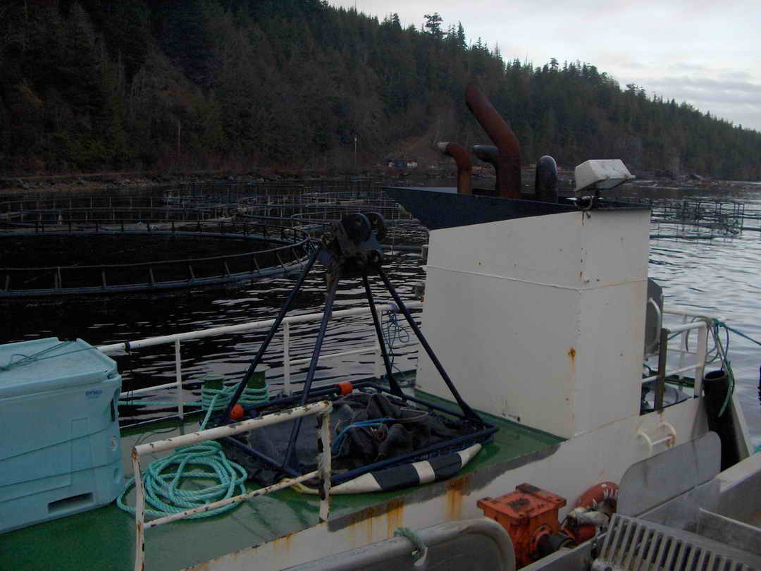 Packer Tender Research Work Boat image 11