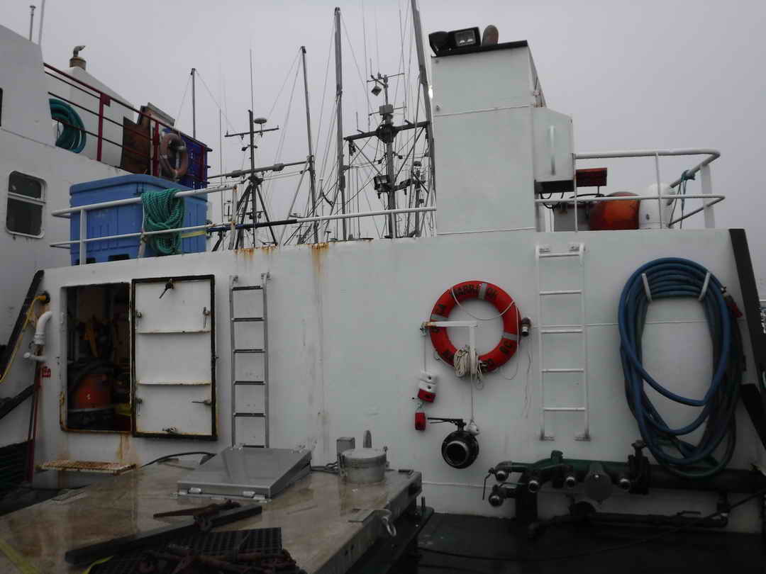 Packer Tender Research Work Boat image 15