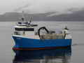 Packer Tender Research Work Boat thumbnail image 0