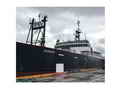 Catcher Producer Work Boat thumbnail image 0