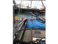 Delta Seiner thumbnail image 6