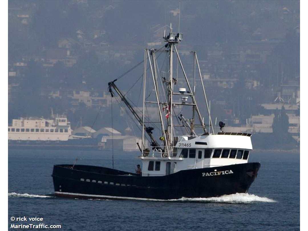 Packer Tender Longliner image 0