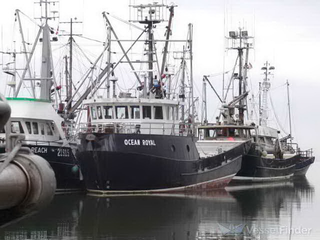 Seiner Packer Tender Longliner image 0