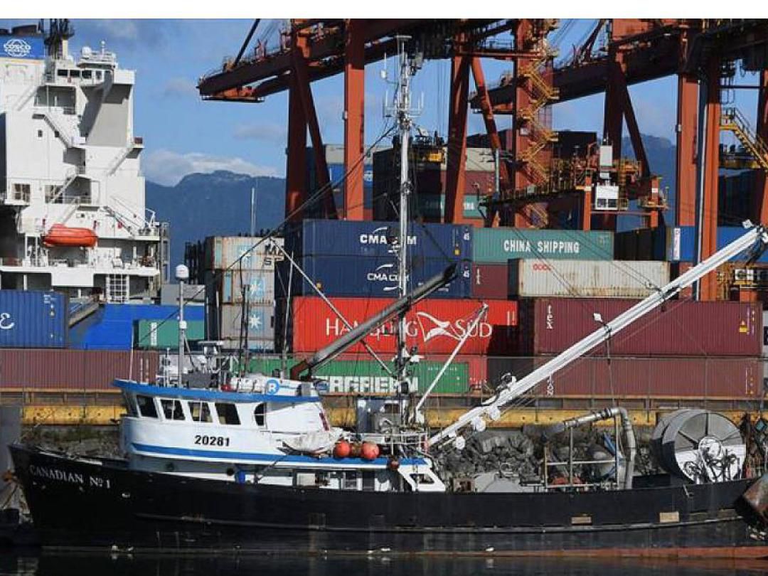 Steel Trawler Seine Packer image 7