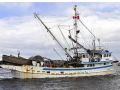 Steel Trawler Seine Packer thumbnail image 2