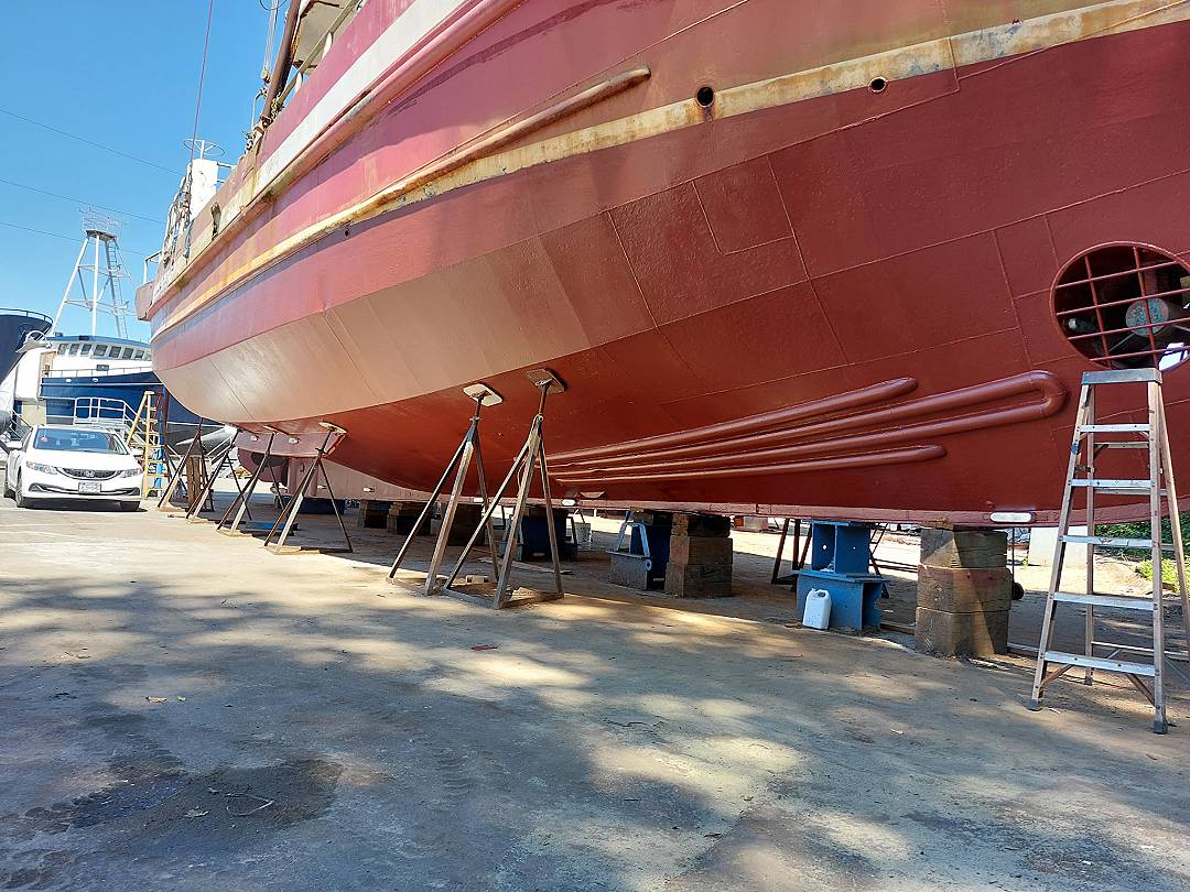 Steel Seiner Tuna image 2
