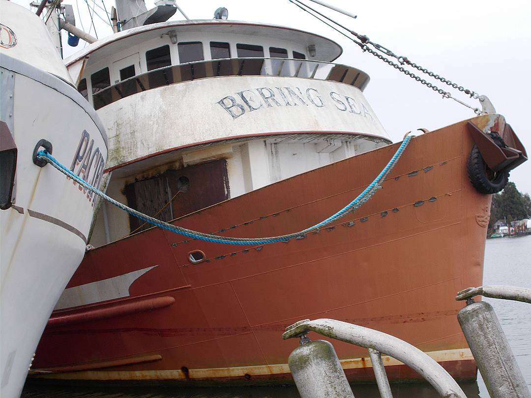 Steel Seiner Tuna image 6