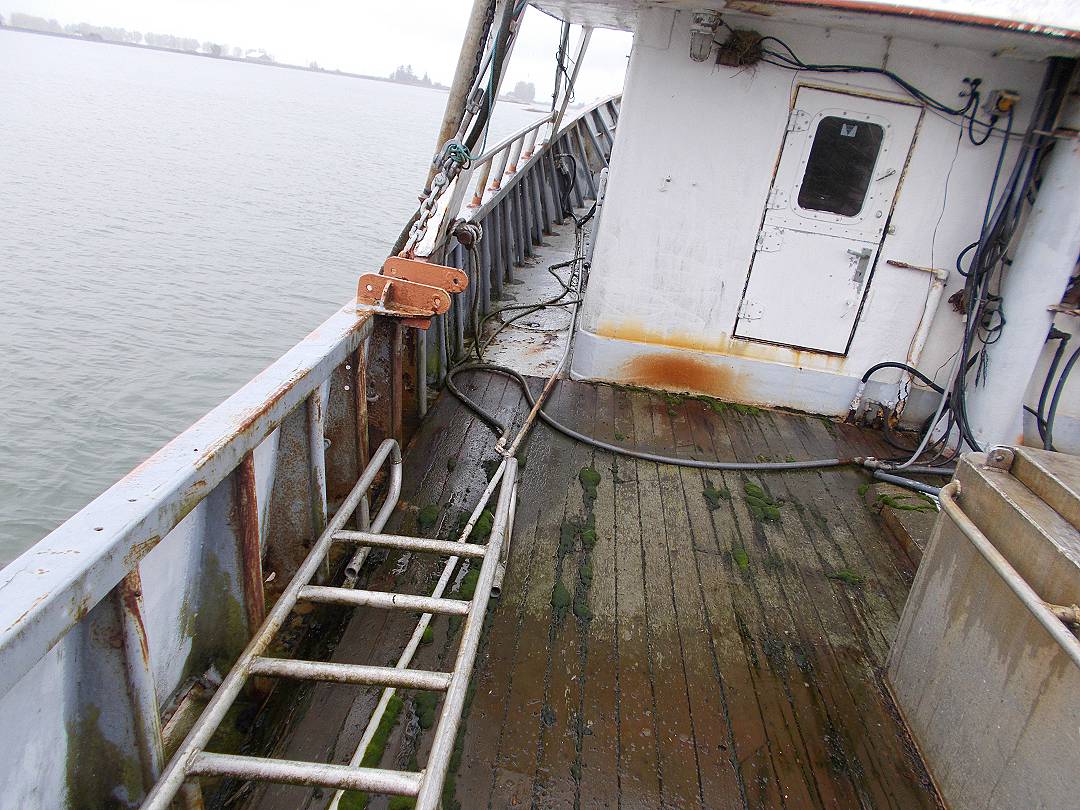 Steel Seiner Tuna image 7