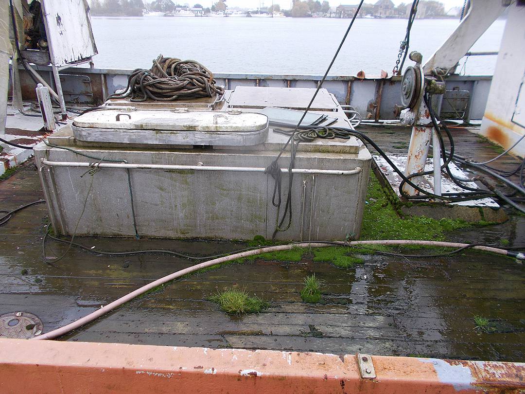 Steel Seiner Tuna image 9