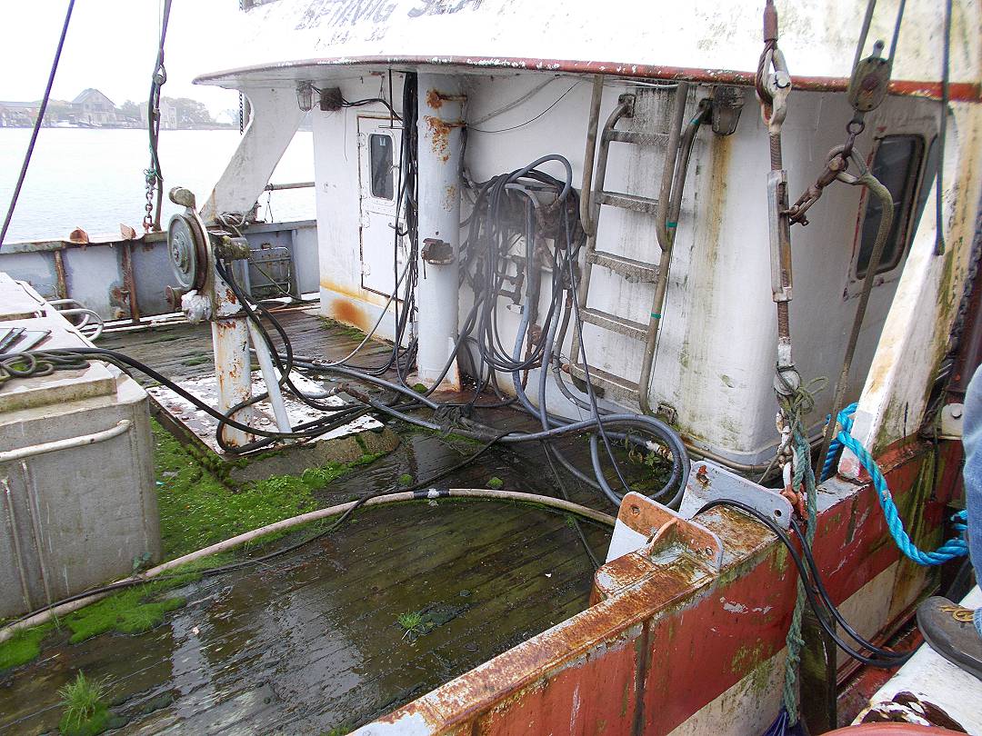 Steel Seiner Tuna image 10