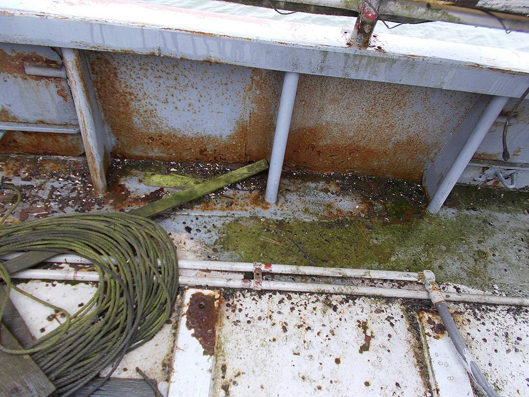 Steel Seiner Tuna image 12