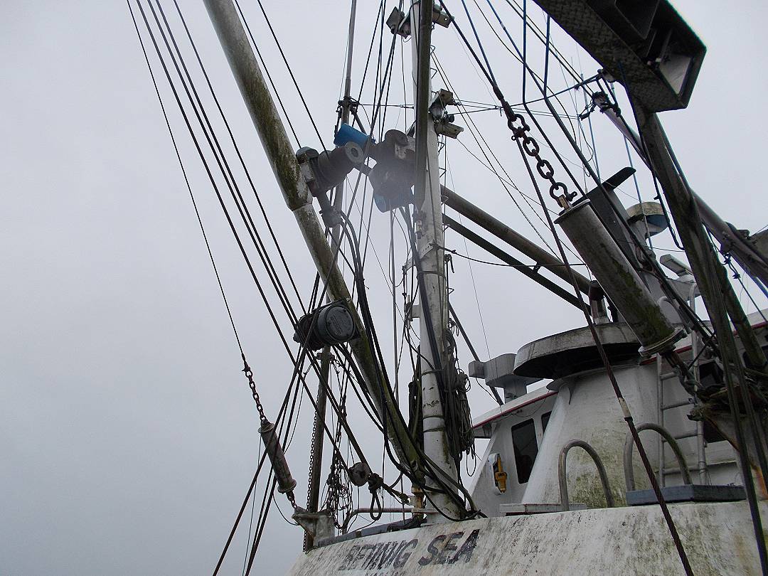 Steel Seiner Tuna image 14
