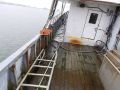 Steel Seiner Tuna thumbnail image 7