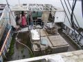 Steel Seiner Tuna thumbnail image 11