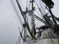 Steel Seiner Tuna thumbnail image 14