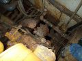 Steel Seiner Tuna thumbnail image 37