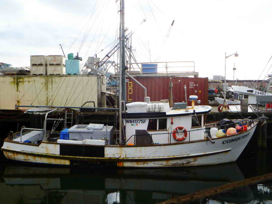 Freezer Troller Longliner Tuna Vessel image 0