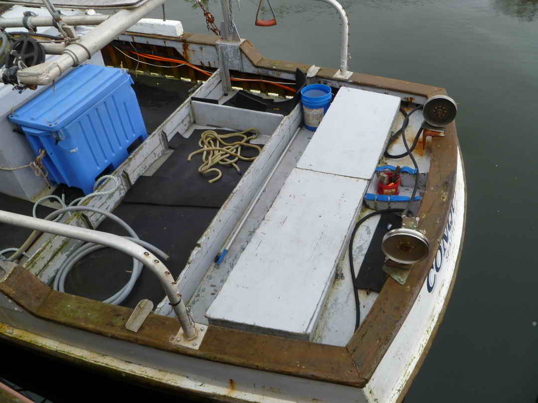 Freezer Troller Longliner Tuna Vessel image 3