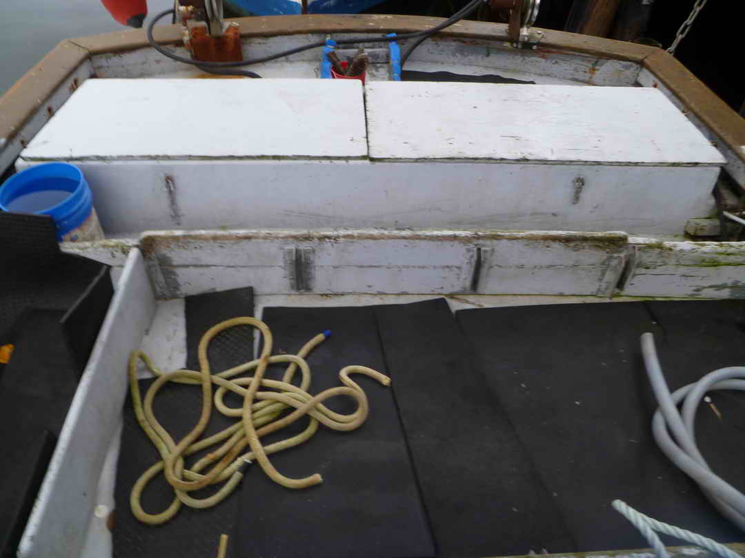 Freezer Troller Longliner Tuna Vessel image 5