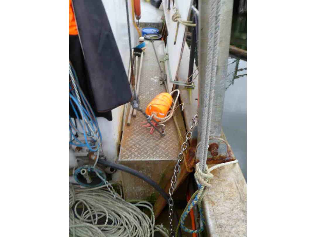 Freezer Troller Longliner Tuna Vessel image 7